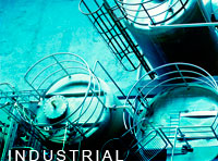 Industrial plant